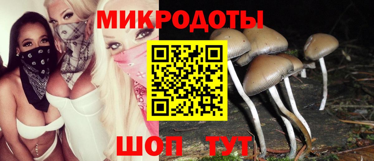 Галлюциногенные грибы Psilocybine cubensis  Вход с VPN  купить  цена  Аша 